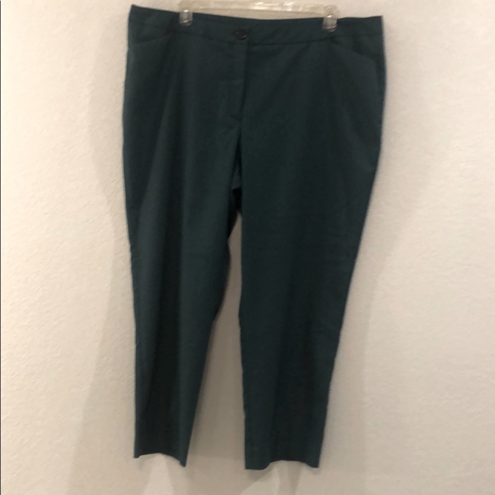 Worthington 24W pants